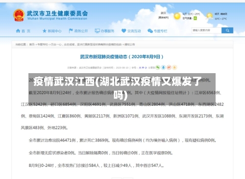 疫情武汉江西(湖北武汉疫情又爆发了吗)-第1张图片