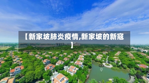 【新家坡肺炎疫情,新家坡的新寇】-第2张图片