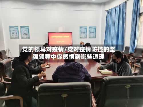 党的领导对疫情/党对疫情防控的坚强领导中你感悟到哪些道理-第1张图片