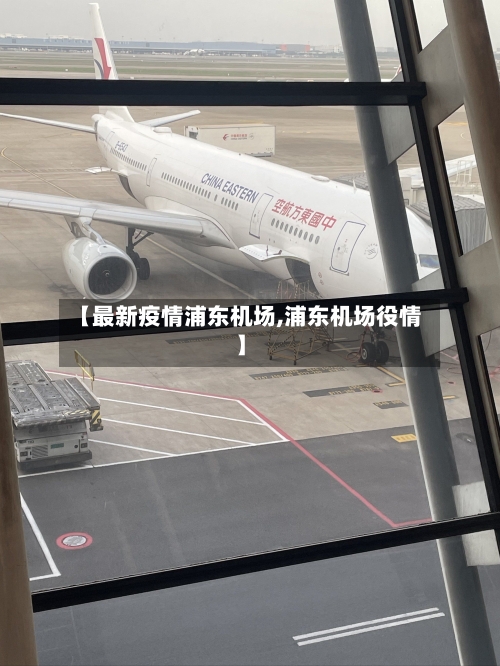 【最新疫情浦东机场,浦东机场役情】-第1张图片