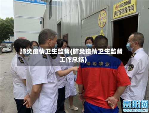 肺炎疫情卫生监督(肺炎疫情卫生监督工作总结)-第2张图片