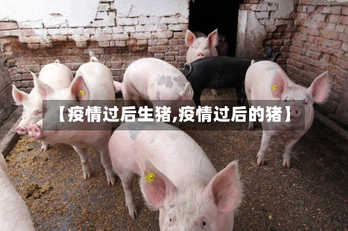 【疫情过后生猪,疫情过后的猪】-第1张图片
